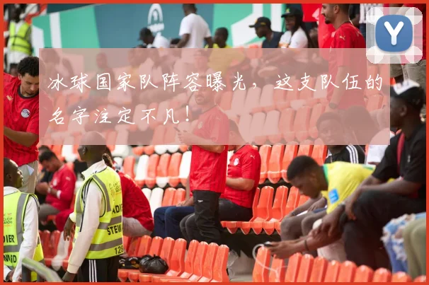 冰球国家队阵容曝光，这支队伍的名字注定不凡！