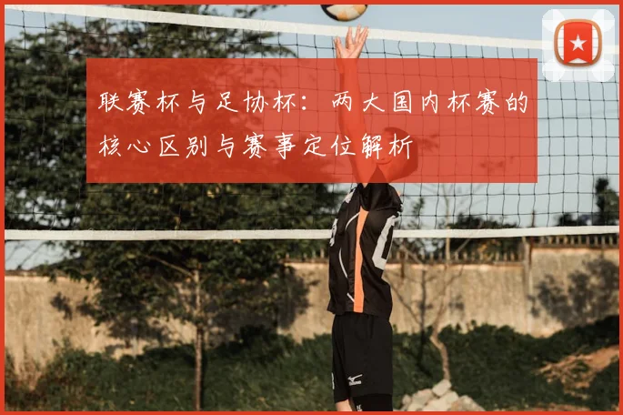 联赛杯与足协杯：两大国内杯赛的核心区别与赛事定位解析