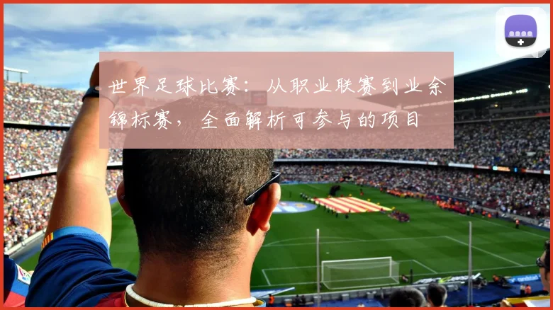 世界足球比赛：从职业联赛到业余锦标赛，全面解析可参与的项目